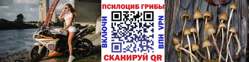 что такое наркотик  blacksprut ссылка  Псилоцибиновые грибы Psilocybine cubensis  Бор 